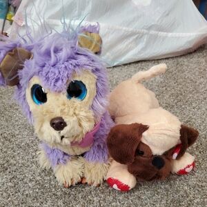 Dog stuffed animals